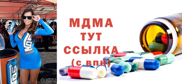 МДПВ Пересвет