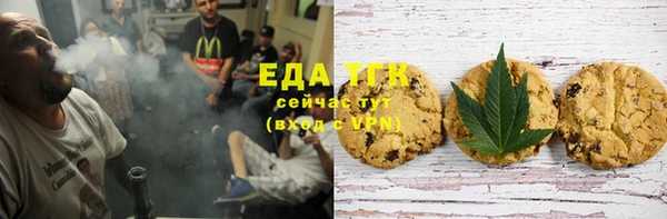 МДПВ Пересвет