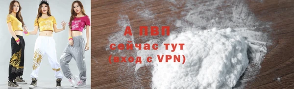 МДПВ Пересвет