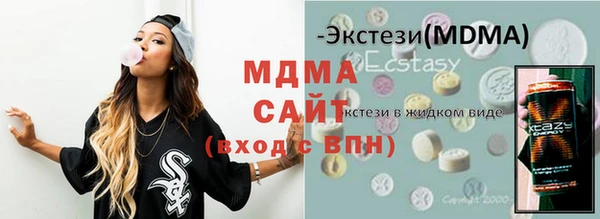 МДПВ Пересвет