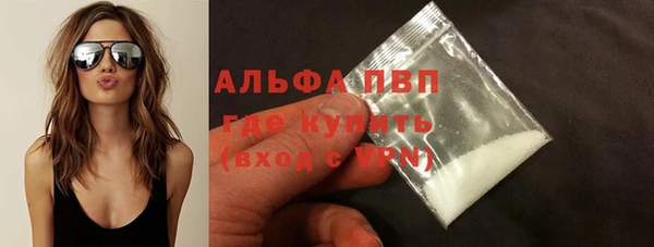 МДПВ Пересвет