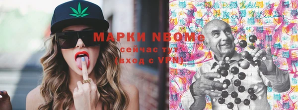 МДПВ Пересвет